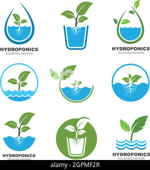 hydroponics logo vector illustration design Stock Vector