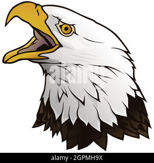Bald Eagle Portrait Illustration Stock Vector