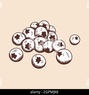 Icon Of Blueberry Stock Vector
