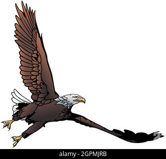 Flying Bald Eagle Illustration Stock Vector