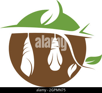 cocoon vector illustrtion design Stock Vector