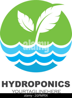 hydroponics logo vector illustration design Stock Vector