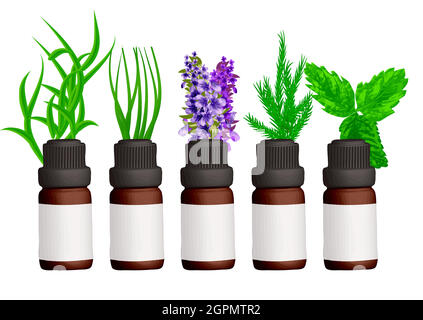 essential oil Stock Vector