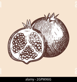 Icon Of Pomegranate Stock Vector