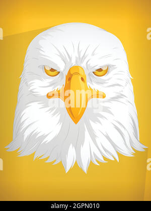 Eagle Head Hawk Falcon Cartoon Front View Closeup Vector Drawing Stock Vector