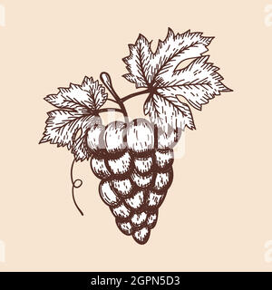 Icon Of Grape Stock Vector