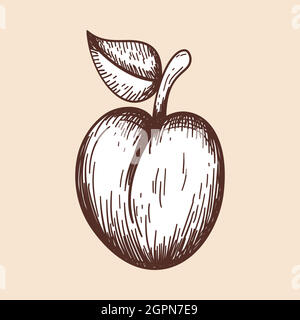 Icon Of Plum Stock Vector