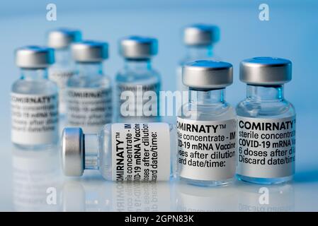 TURIN, ITALY, SEPTEMBER 24, 2021: Pfizer-BioNTech COVID-19 Vaccine Comirnaty vials, Original vaccine vials in selective focus on blurred  background Stock Photo