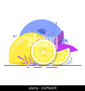 Lemon slices with leaves. Whole lime and cut pieces Stock Vector