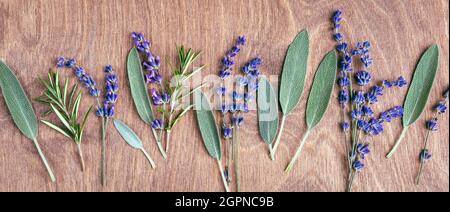Sage leaves, lavender and rosemary on a wooden background. Fresh spicy herbs. Stock Photo
