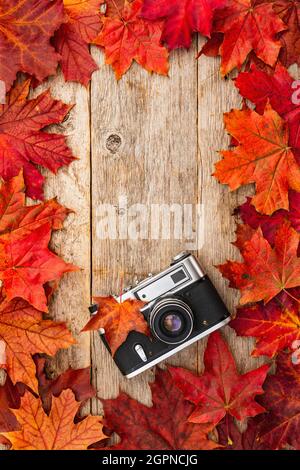 Old camera and red autumn maple leaves,top view Stock Photo