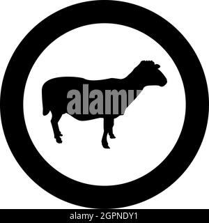 Sheep Ewe Domestic livestock Farm animal cloven hoofed Lamb cattle silhouette in circle round black color vector illustration solid outline style image Stock Vector