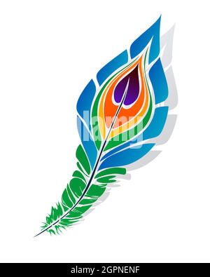 Stylized peacock feather Stock Vector