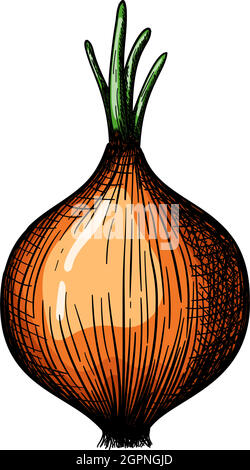 Onion Icon Stock Vector