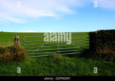 Old metal farm gate in a farming field location Stock Photo