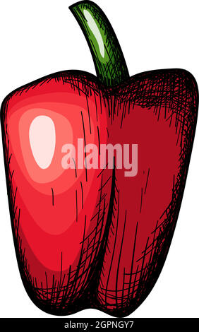 Pepper Icon Stock Vector