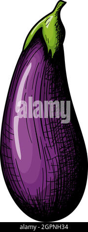 Eggplant Icon Stock Vector
