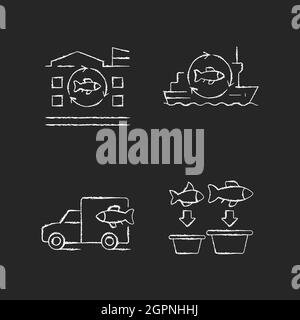 Fish processing and transportation chalk white icons set on dark background Stock Vector