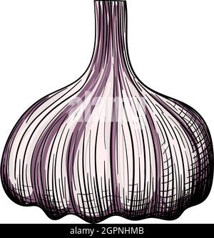Garlic Icon Stock Vector