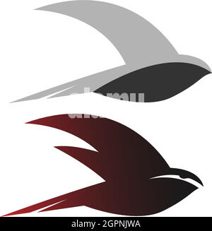 Simple Design of Swift Bird logo icon template vector illustration Stock Vector