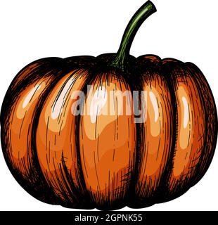 Pumpkin Icon Stock Vector