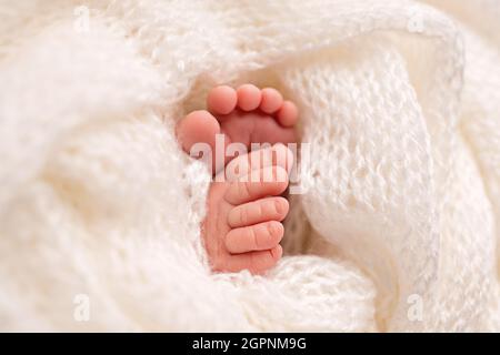 A close-up photo of a newborn's legs on a white plaid. Feet and toes of a newborn in a soft white blanket Stock Photo