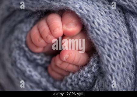 A close-up photo of a newborn's legs on a light gray plaid. Legs and toes of a newborn in a soft white blanket Stock Photo