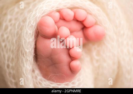 A close-up photo of a newborn's legs on a white plaid. Feet and toes of a newborn in a soft white blanket Stock Photo