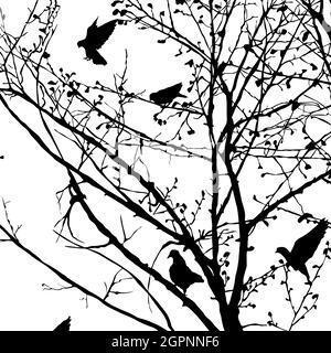 Pigeon silhouettes in the trees Stock Vector
