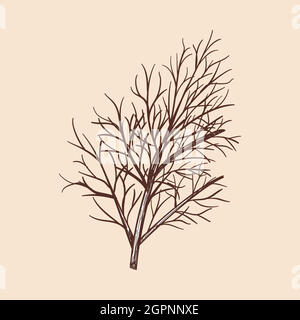Dill Icon Stock Vector