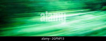 Green blurry curved lines abstract background motion blur trees banner Stock Photo