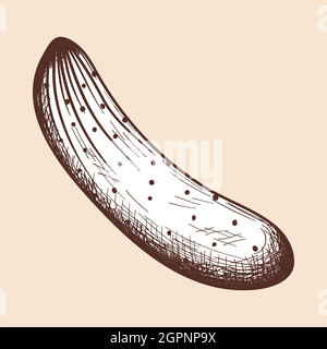 Cucumber Icon Stock Vector