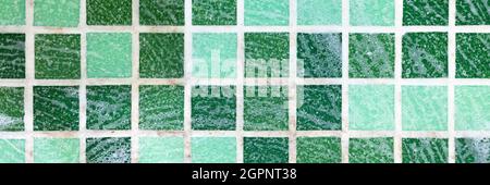 mold on joints between the ceramic tile in bathroom with a cleaning chemical foam. cleaning a black mildew dirt on the seams of mosaic tiles. dirty mo Stock Photo