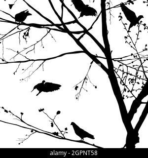 Pigeon silhouettes in the trees Stock Vector