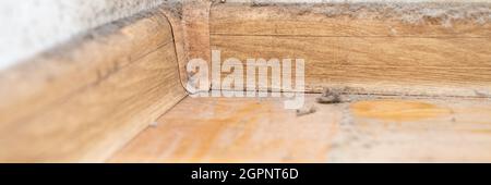 dust in the corner of the room. real old neglected dusty dirt, dirty toxic mold and fungus bacteria on the white wall, skirting board and wooden floor Stock Photo