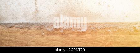 dust in the corner of the room. real old neglected dusty dirt, dirty toxic mold and fungus bacteria on the white wall, skirting board and wooden floor Stock Photo