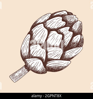 Artichoke Icon Stock Vector