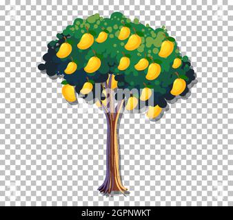 Mango tree on transparent background illustration Stock Vector