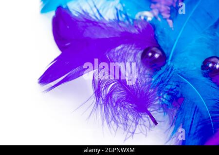 Feather background - small fluffy blue feathers randomly scattered on white table Stock Photo