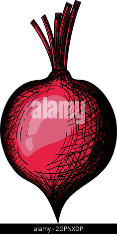 Beetroot Icon Stock Vector