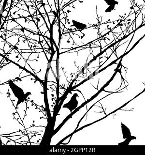 Pigeon silhouettes in the trees Stock Vector