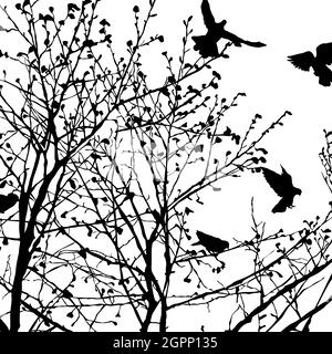 Pigeon silhouettes in the trees Stock Vector
