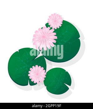 Pink lotus flower Stock Vector