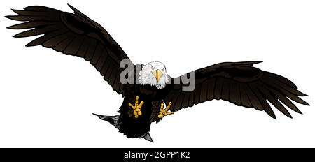 Flying Bald Eagle Illustration Stock Vector