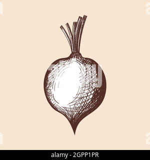 Beetroot Icon Stock Vector