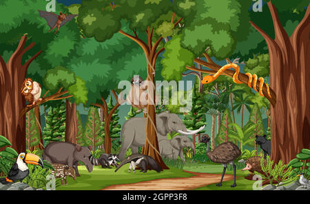 Wild animal cartoon character in the forest scene Stock Vector