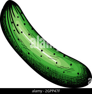 Cucumber Icon Stock Vector