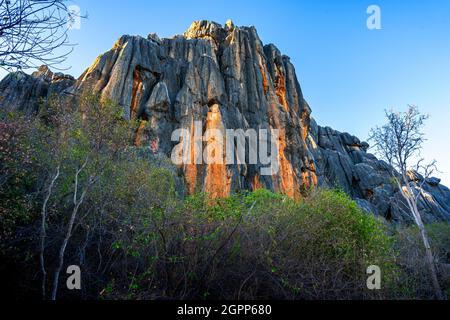 Limestone outcrop at Royal Arch Cave, Chillagoe-Mungana Caves National park, North Queensland Stock Photo