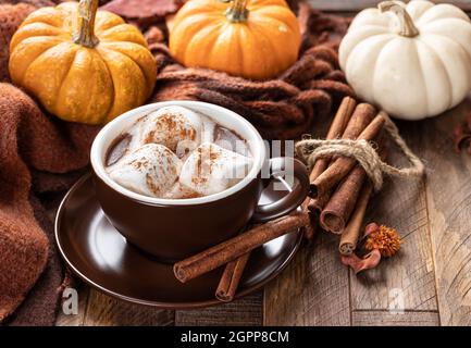 Cup of hot chocolate with marshmallows and cinnamon with pumpkins and blanket in background Stock Photo