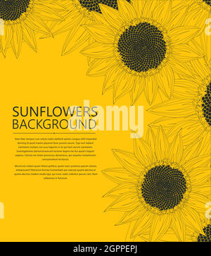 Sunflowers text card Stock Vector